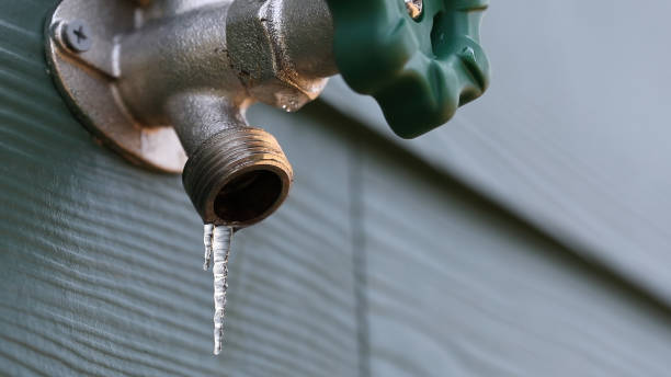 Best Affordable Plumbing Services  in West Lealman, FL